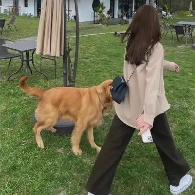遥远的地方